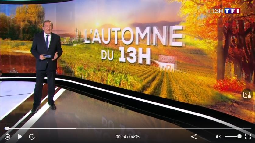 reportage tf1 vignoble v