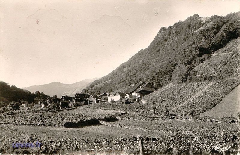 cartes postales anciennes